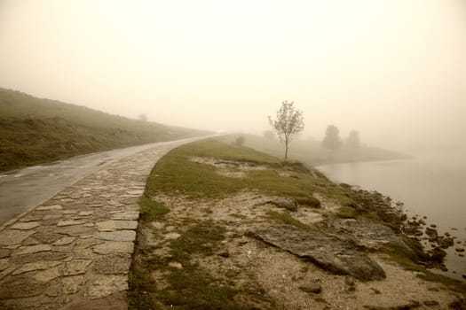 Misty morning by Lago Enol in the mountains of Picos de Europa - Asturias, Spain.