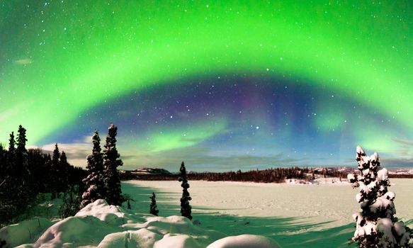 Spectacular display of intense Northern Lights or Aurora borealis or polar lights forming green arc over snowy winter landscape
