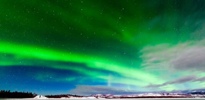 Spectacular display of intense Northern Lights or Aurora borealis or polar lights forming green swirls over frozen Lake Laberge Yukon Territory Canada winter landscape