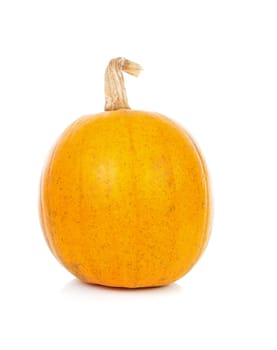 One yellow pumpkin in closeup over white background