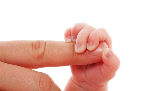 Baby is holding mothers finger isolated on white background 
