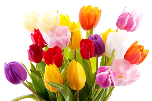 Bouquet of colorful tulips over white background