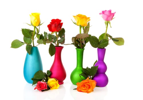 Colorful roses in vases over white background