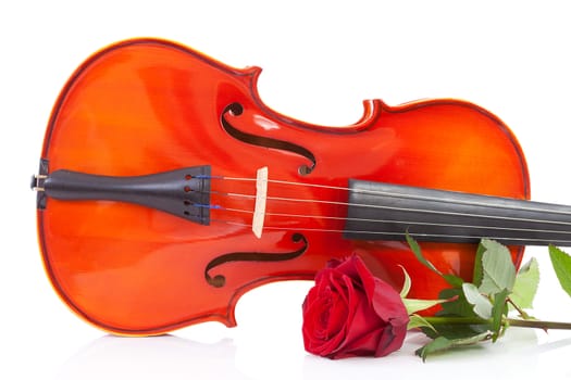 Violin and rose in closeup over white background
