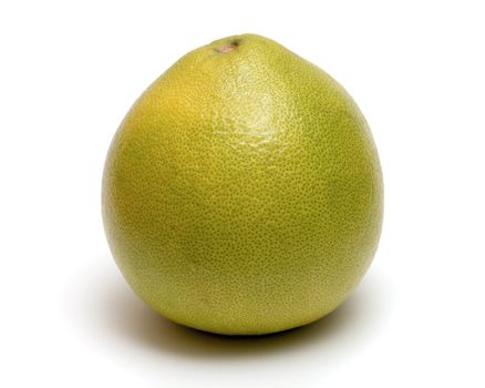 pomelo citrus