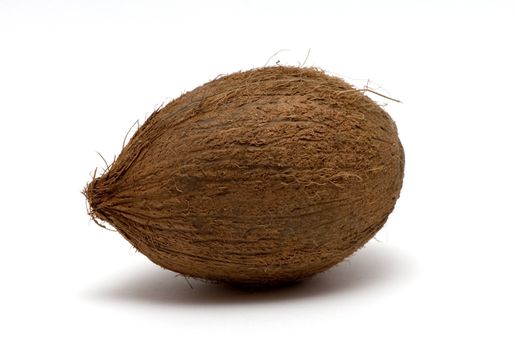 coconut