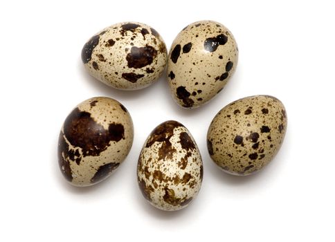 quail eggs