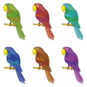 Set colorful clever speaking colored parrots sits on a wooden pole.