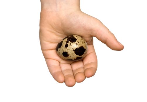 Egg in a hand