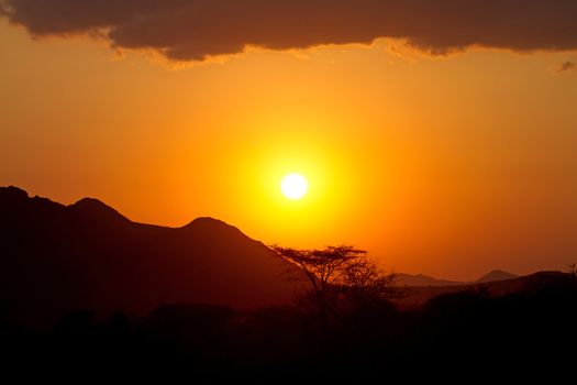 Beautiful orange sunset in Africa with shades of baobab trees 