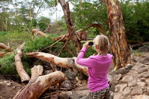 Young girl is taking photo of vervet monkey on safari in Kenya