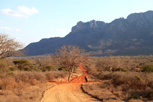 African landscape in Ngulia Rhino Sanctuary Kenya