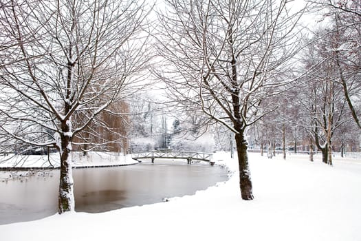Dutch park in wintertime covered with snow