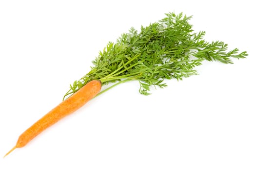 One fresh carrot with leaf over white background