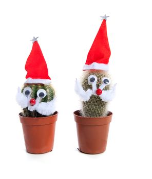 Two funny decorated cactus plants for christmas over white background