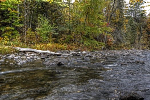 Forest river in the fall near Wakefield Mill