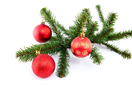 branch of christmas tree with red balls over white background