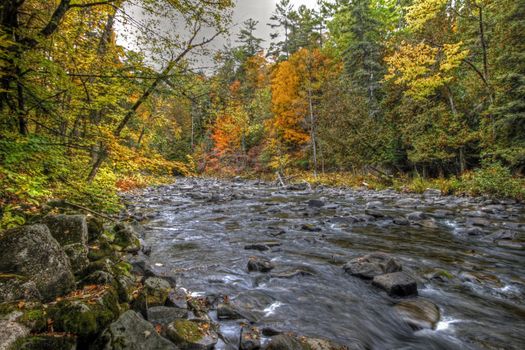 Forest river in the fall near Wakefield Mill