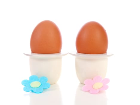 Two chicken eggs in holder with flowers over white background