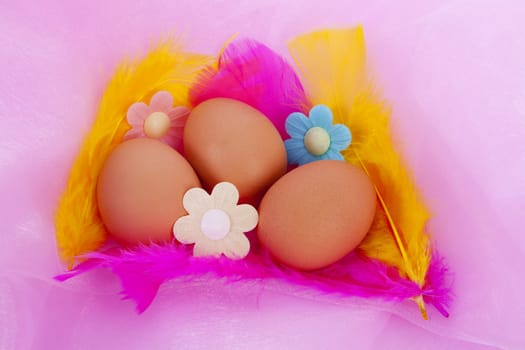 Easter chicken eggs with feathers and flower over pink fabric