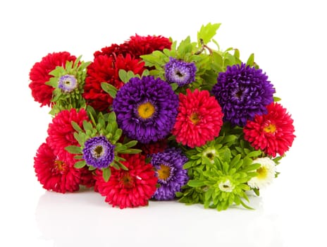 Bouquet of colorful Asters flowers over white background