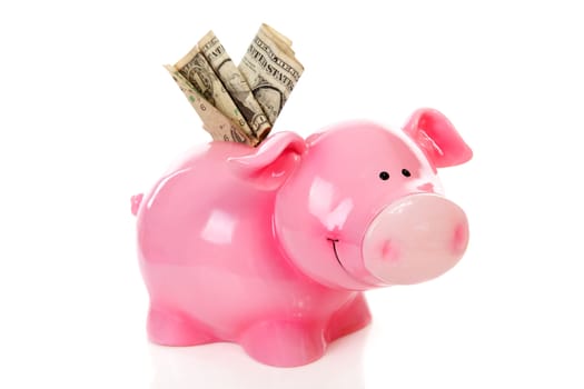Pink piggy bank and dollar money isolated on white background
