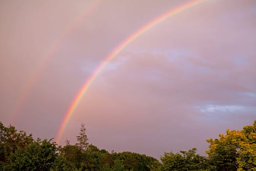 colorful rainbow in cloudy sky above some trees
