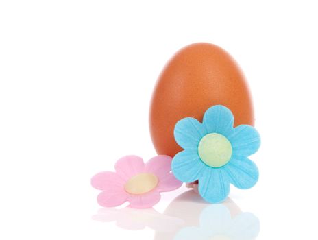 One chicken egg with pink and blue flower over white background