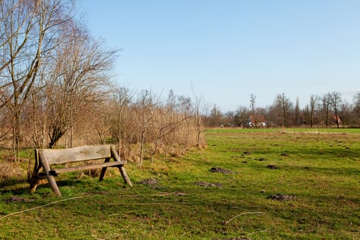 Empty bench in typical Dutch nature on sunny day