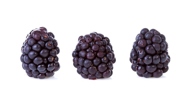 Macro of three blackberries over white background