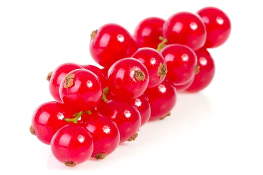 bunch of red currant berries in closeup over white background