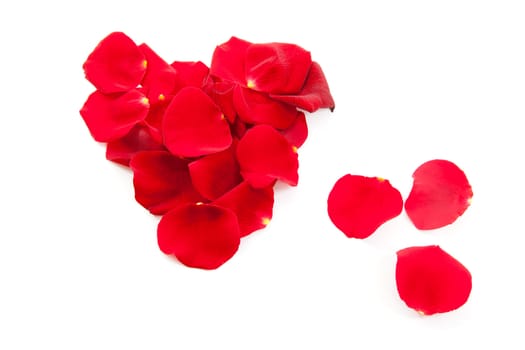 red rose petals in shape of heart over white background