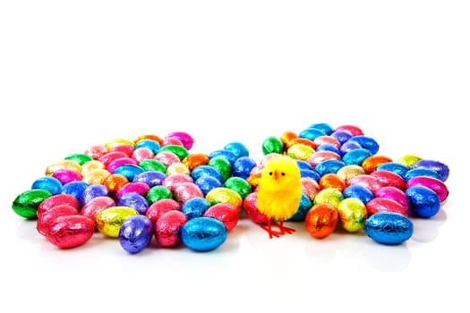 Colorful chocolate easter eggs and yellow chicken over white background