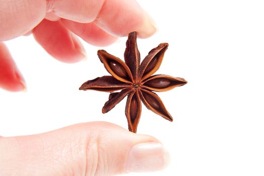 hand is holding whole star anise in closeup over white background