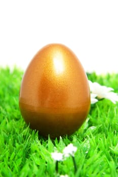 Golden chicken easter egg on grass and flowers over white background
