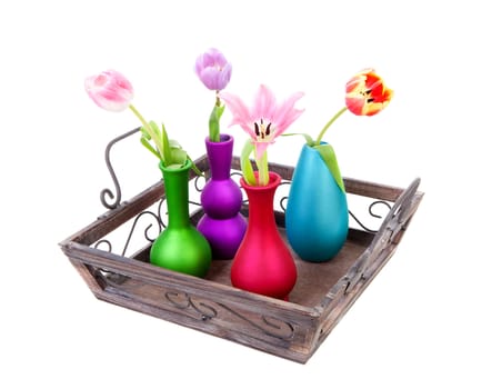 Tray with colorful vases and Dutch tulips over white background