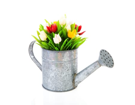 Zinc watering can with colorful tulips over white background