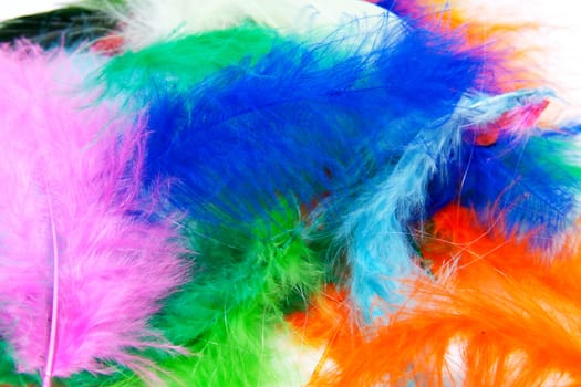 Background of colorful feathers in closeup