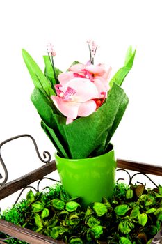 Fake orchid in tray with decoration over white background