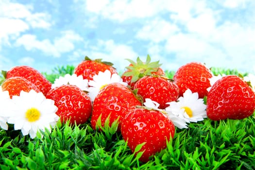 Fresh strawberries on grass over cloudy background