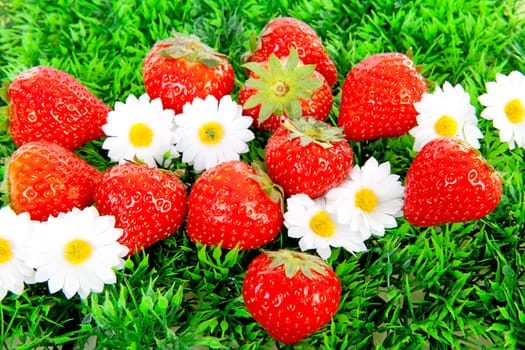 Fresh strawberries on green grass and flowers
