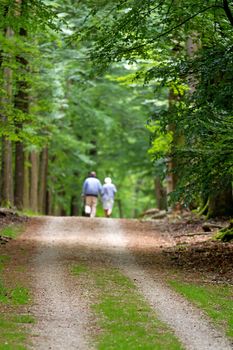 Blurred elderly couple walking in green forest