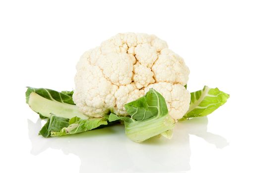 fresh dutch Cauliflower isolated on white background