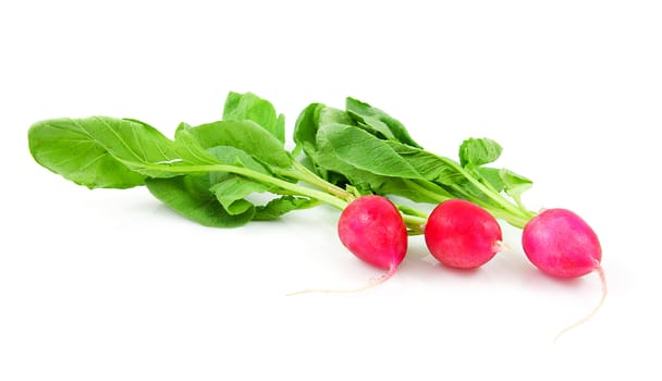 Three fresh radishes isolated on white background