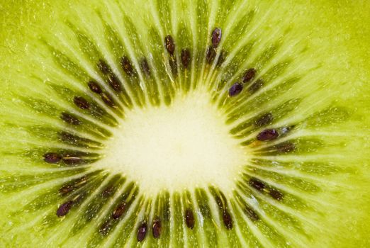 Fresh kiwi fruit slice closeup, green background