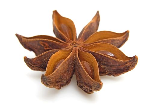 whole star anise in closeup over white background