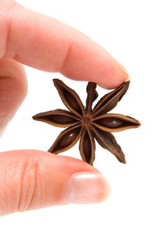 hand is holding whole star anise in closeup over white background