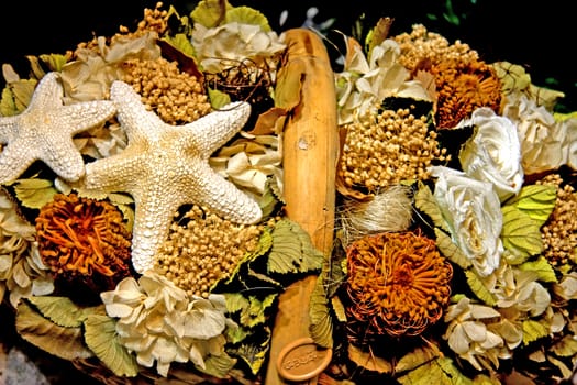 dried flowers and starfish in closeup