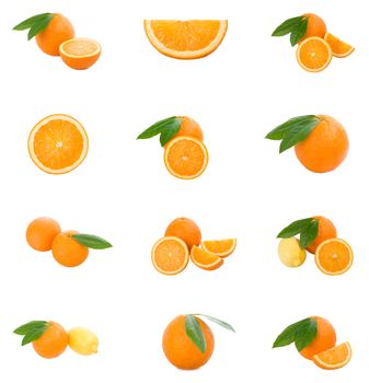 set of oranges, isolated on white