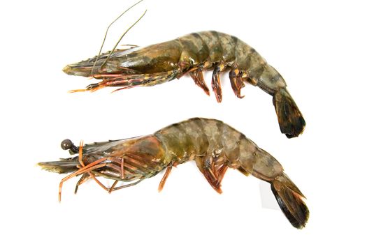 Two raw shrimp isolated on white background